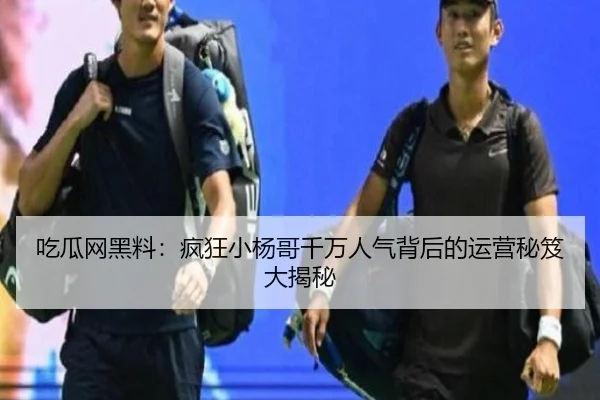 吃瓜网黑料：疯狂小杨哥千万人气背后的运营秘笈大揭秘
